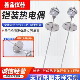  K型铠装热电偶 WRNK-131 、耐高温、热响应时间快温度传感器探头